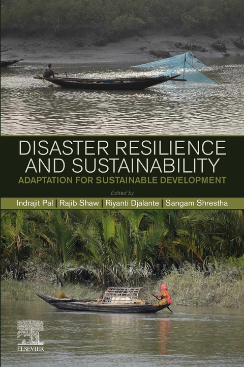 Disaster Resilience and Sustainability - 