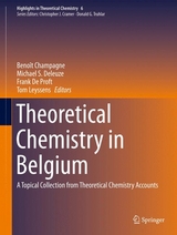 Theoretical Chemistry in Belgium - 