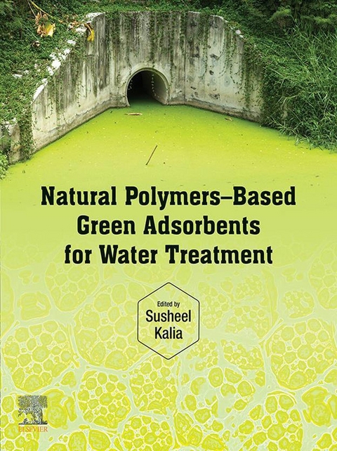 Natural Polymers-Based Green Adsorbents for Water Treatment - 