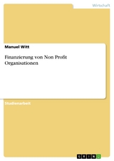 Finanzierung von Non Profit Organisationen - Manuel Witt