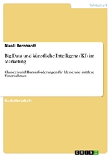 Big Data und künstliche Intelligenz (KI) im Marketing - Nicoli Bernhardt