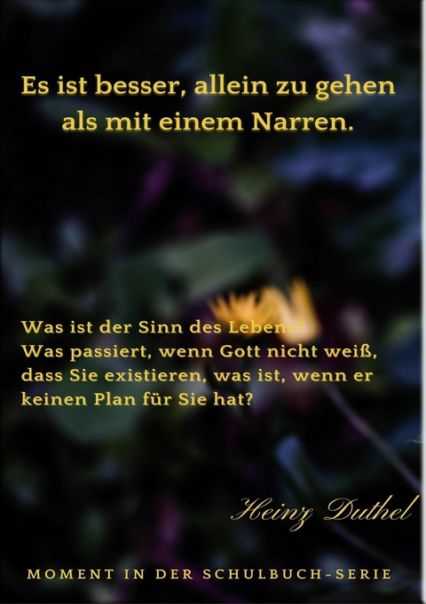 Es ist besser, allein zu gehen als mit einem Narren. Was ist der Sinn des Lebens? - Heinz Duthel