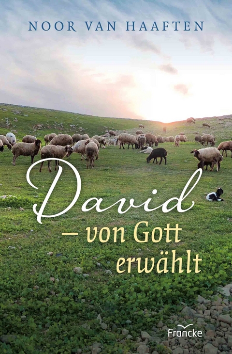David - von Gott erwählt -  Noor van Haaften