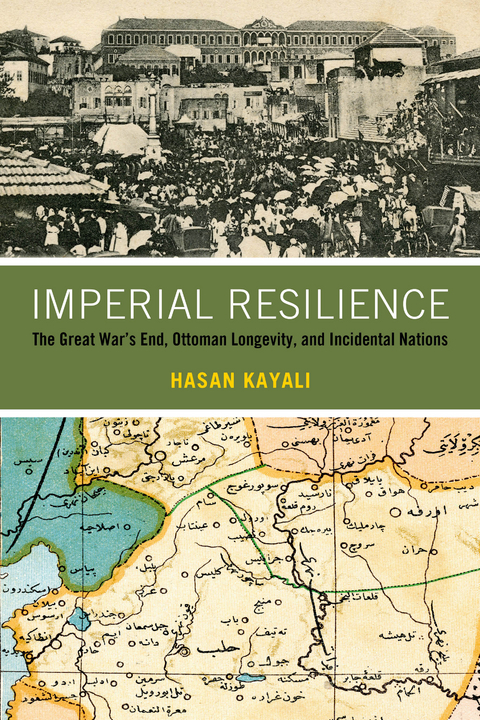 Imperial Resilience - Hasan Kayali