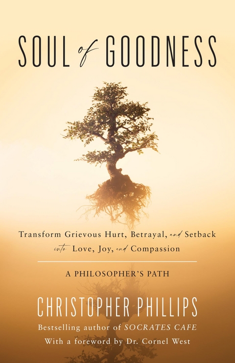 Soul of Goodness -  Christopher Phillips