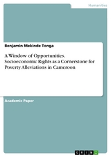 A Window of Opportunities. Socioeconomic Rights as a Cornerstone for Poverty Alleviations in Cameroon - Benjamin Mekinde Tonga