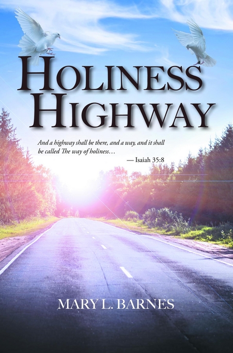 Holiness Highway -  Mary L. Barnes