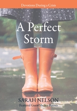 Perfect Storm -  Sarah Nelson