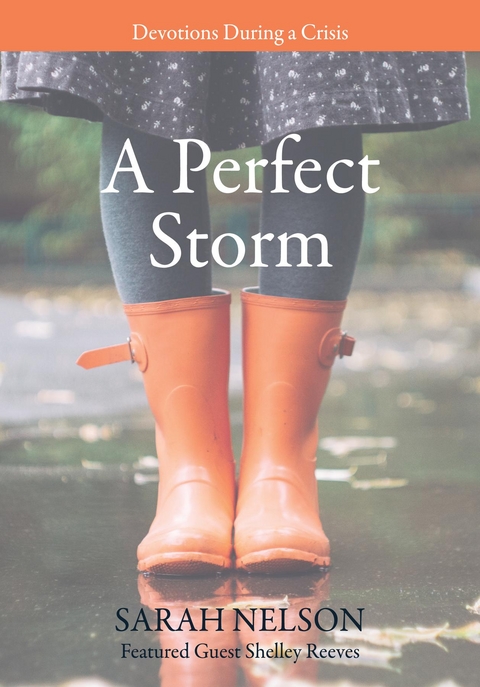 Perfect Storm -  Sarah Nelson