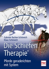 Die Schiefen-Therapie - Rachen-Schöneich, Gabriele; Schöneich, Klaus