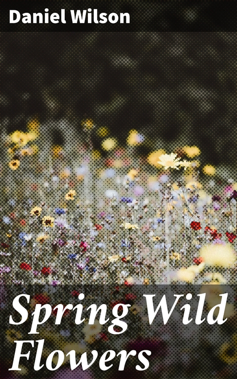 Spring Wild Flowers - Daniel Wilson