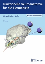 Funktionelle Neuroanatomie für die Tiermedizin -  Michael H. Stoffel