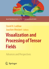 Visualization and Processing of Tensor Fields - 