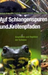 Auf Schlangenspuren und Krötenpfaden - Andreas Meyer, Silvia Zumbach, Benedikt Schmidt, Jean-Claude Monney