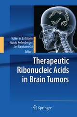 Therapeutic Ribonucleic Acids in Brain Tumors - 