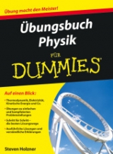 Übungsbuch Physik für Dummies - Steven Holzner