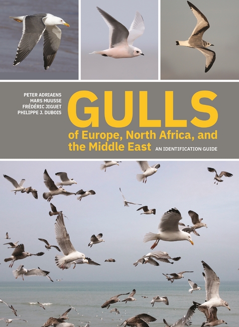 Gulls of Europe, North Africa, and the Middle East -  Peter Adriaens,  Philippe J. Dubois,  Frederic Jiguet,  Mars Muusse