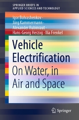 Vehicle Electrification - Igor Bolvashenkov, Jörg Kammermann, Alexander Rubinraut, Hans-Georg Herzog, Ilia Frenkel