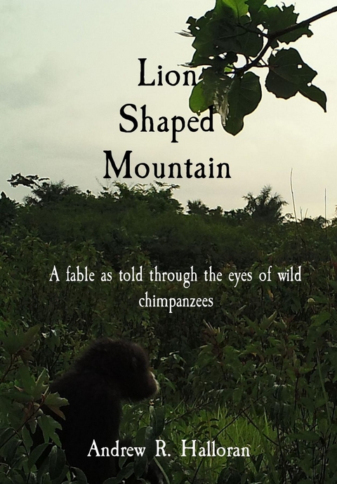 Lion Shaped Mountain -  Andrew R Halloran