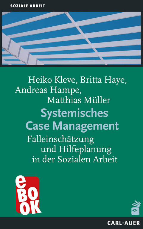 Systemisches Case Management - Heiko Kleve, Britta Haye, Andreas Hampe-Grosser, Matthias Müller