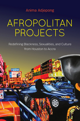 Afropolitan Projects - Anima Adjepong