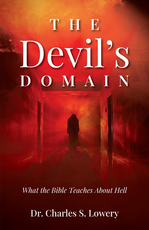 Devil's Domain -  Charles S Lowery