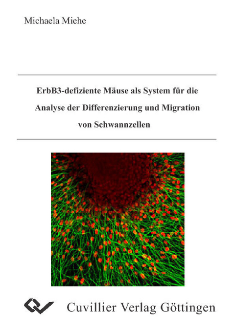 ErbB3-defiziente M&#xE4;use als System f&#xFC;r die Analyse der Differenzierung und Migration von Schwannzellen -  Michaela Miehe