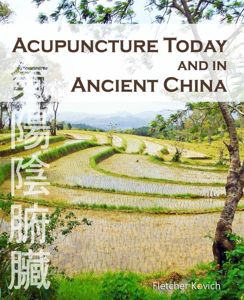 Acupuncture Today and in Ancient China -  Fletcher Kovich