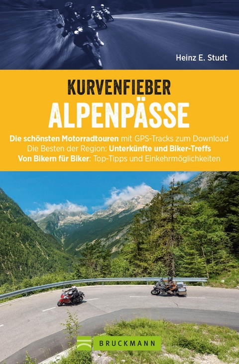 Kurvenfieber Alpenpässe: Motorradreiseführer für die Alpen - Heinz E. Studt