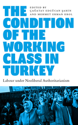 Condition of the Working Class in Turkey - 