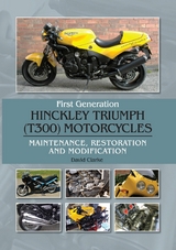 First Generation Hinckley Triumph (T300) Motorcycles - David Clarke