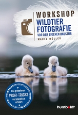 Workshop Wildtierfotografie vor der eigenen Haustür - Mario Müller