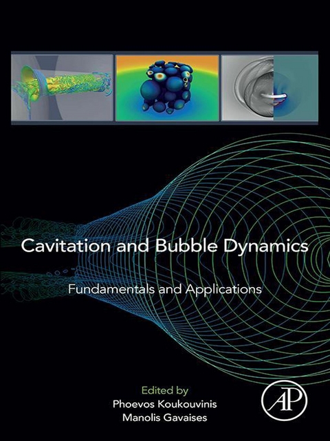 Cavitation and Bubble Dynamics - 