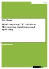 SWOT-Analyse zum TSG Hoffenheim. Merchandising, Digitalisierung und Sponsoring - Tim Schober