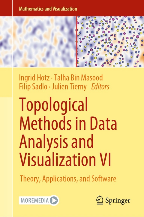 Topological Methods in Data Analysis and Visualization VI - 