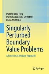 Singularly Perturbed Boundary Value Problems - Matteo Dalla Riva, Massimo Lanza De Cristoforis, Paolo Musolino