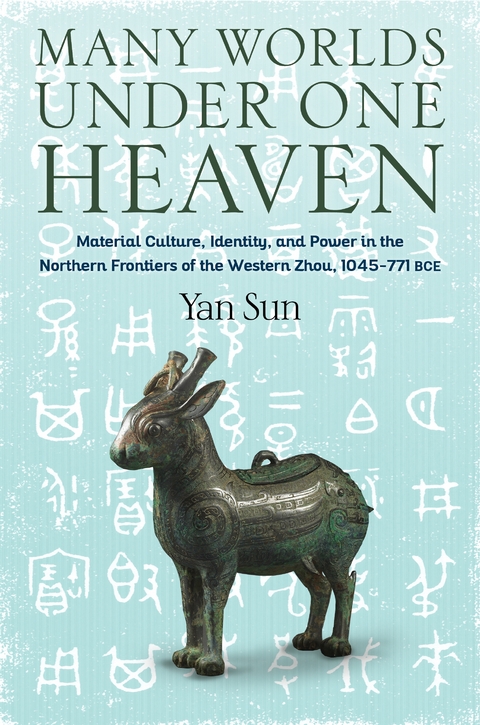 Many Worlds Under One Heaven -  Yan Sun