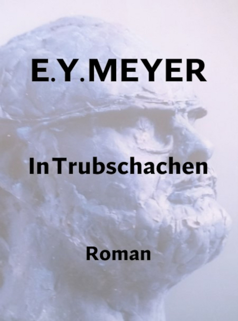 In Trubschachen - E. Y. Meyer