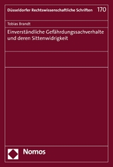 Einverständliche Gefährdungssachverhalte und deren Sittenwidrigkeit - Tobias Brandt