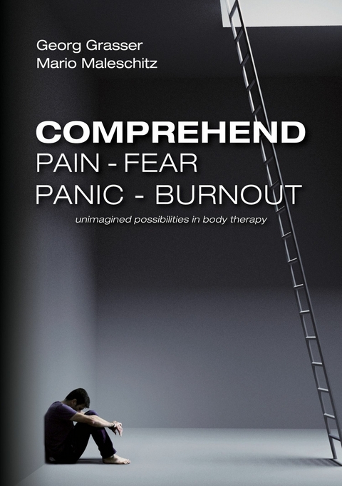 Comprehend Pain-Fear-Panic-Burnout -  Mario Maleschitz,  Georg Grasser