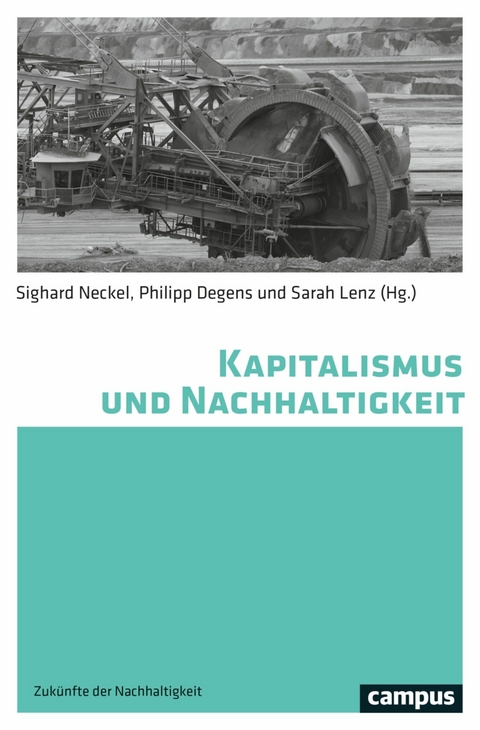 Kapitalismus und Nachhaltigkeit - 