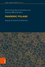Pandemic Poland - 