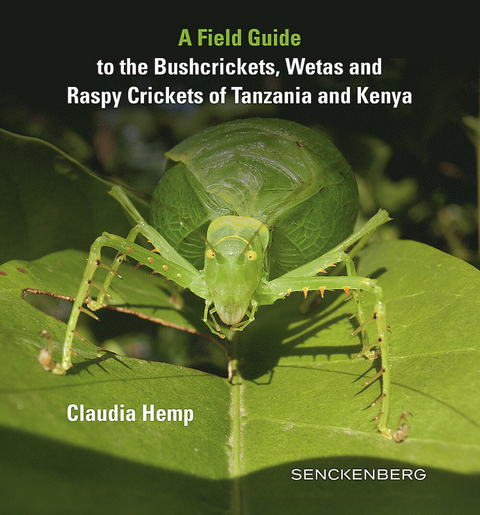 A Field Guide to the Bushcrickets, Wetas and Raspy Crickets of Tanzania and Kenya -  Claudia Hemp