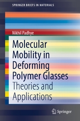 Molecular Mobility in Deforming Polymer Glasses - Nikhil Padhye