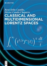 Classical and Multidimensional Lorentz Spaces - René Erlin Castillo, Héctor Camilo Chaparro