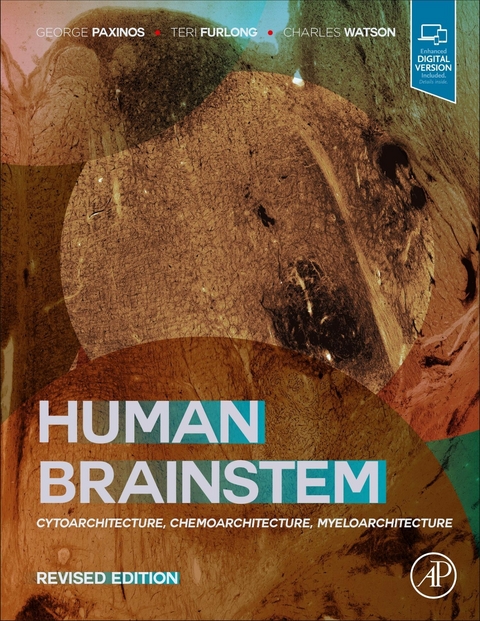 Human Brainstem -  Teri Furlong,  George Paxinos,  Charles Watson