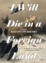 I Will Die in a Foreign Land -  Kalani Pickhart