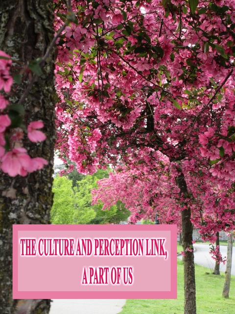 The Culture and Perception Link, A Part of Us - Rowena Kong