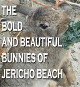 Bold and Beautiful Bunnies of Jericho Beach -  Rowena Kong