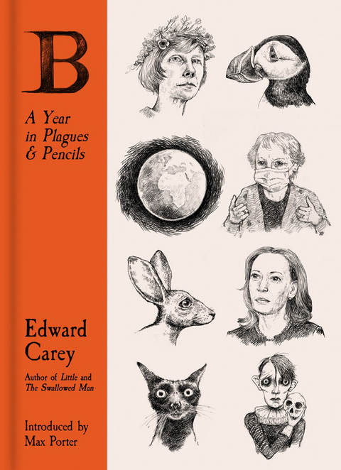 B: A Year in Plagues and Pencils - Edward Carey